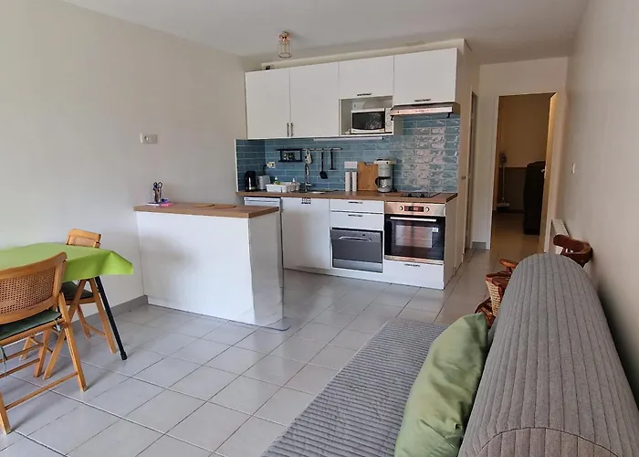Apartman Banyuls-sur-mer: Vue Mer, Terrasse, Parking Prive, 4 Personnes - Fr-1-309-546 Banyuls-sur-Mer